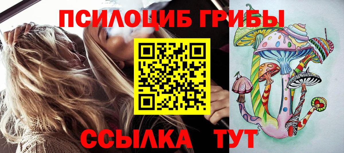 Галлюциногенные грибы Psilocybe Верхний Уфалей